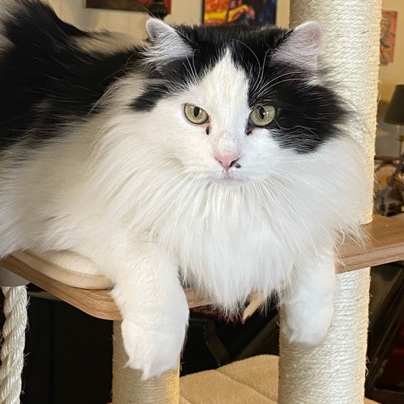 Meet your Posher, Val - Picture 7 of 12